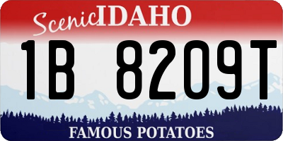 ID license plate 1B8209T