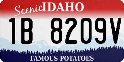 ID license plate 1B8209V