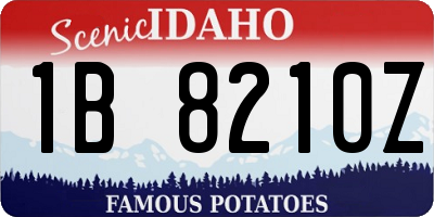ID license plate 1B8210Z