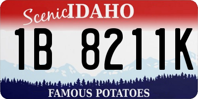 ID license plate 1B8211K