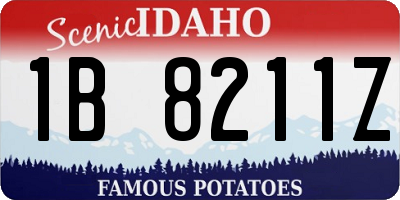 ID license plate 1B8211Z