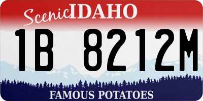 ID license plate 1B8212M