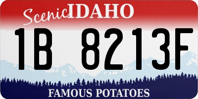 ID license plate 1B8213F