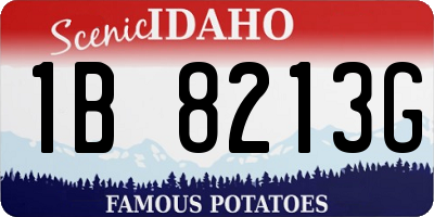 ID license plate 1B8213G
