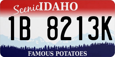 ID license plate 1B8213K