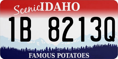 ID license plate 1B8213Q