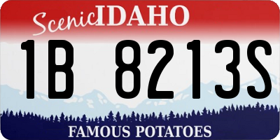 ID license plate 1B8213S
