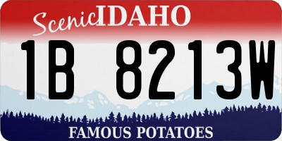ID license plate 1B8213W