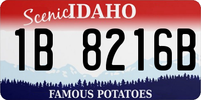 ID license plate 1B8216B