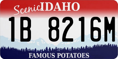 ID license plate 1B8216M
