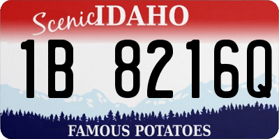 ID license plate 1B8216Q