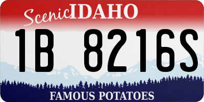 ID license plate 1B8216S
