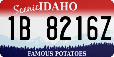 ID license plate 1B8216Z
