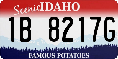 ID license plate 1B8217G
