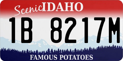ID license plate 1B8217M
