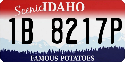 ID license plate 1B8217P