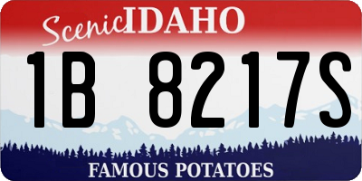 ID license plate 1B8217S