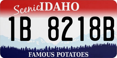 ID license plate 1B8218B