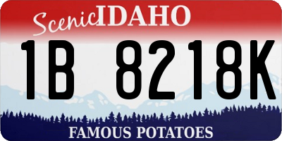 ID license plate 1B8218K