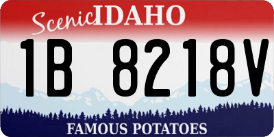 ID license plate 1B8218V