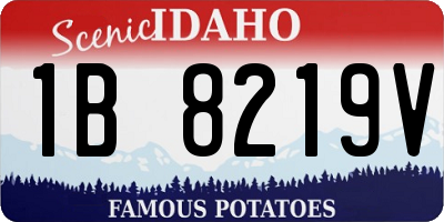 ID license plate 1B8219V