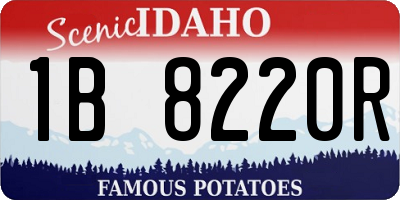 ID license plate 1B8220R
