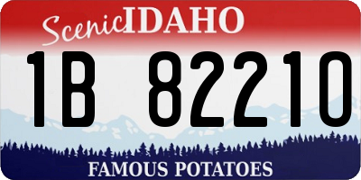 ID license plate 1B8221O