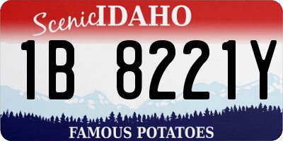 ID license plate 1B8221Y