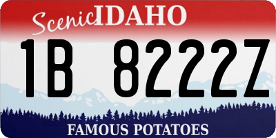 ID license plate 1B8222Z