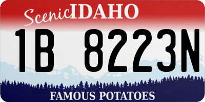 ID license plate 1B8223N