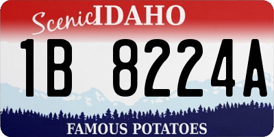 ID license plate 1B8224A