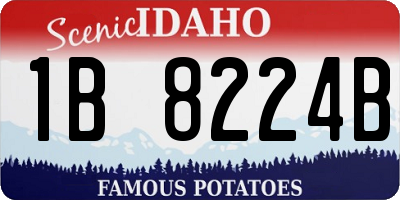 ID license plate 1B8224B