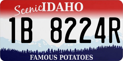 ID license plate 1B8224R