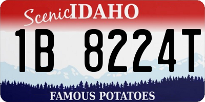 ID license plate 1B8224T