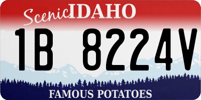 ID license plate 1B8224V