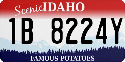 ID license plate 1B8224Y