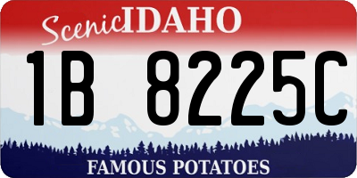 ID license plate 1B8225C