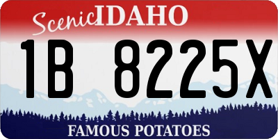 ID license plate 1B8225X