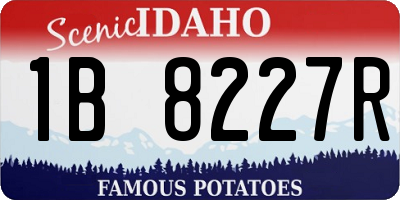ID license plate 1B8227R
