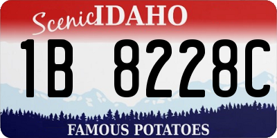 ID license plate 1B8228C