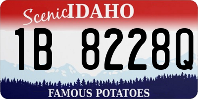 ID license plate 1B8228Q