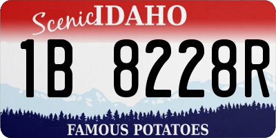ID license plate 1B8228R