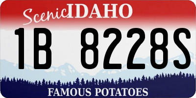 ID license plate 1B8228S