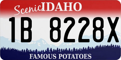 ID license plate 1B8228X