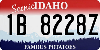 ID license plate 1B8228Z