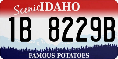 ID license plate 1B8229B