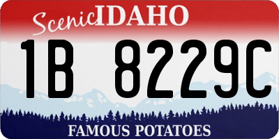 ID license plate 1B8229C