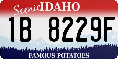 ID license plate 1B8229F