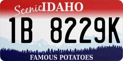 ID license plate 1B8229K