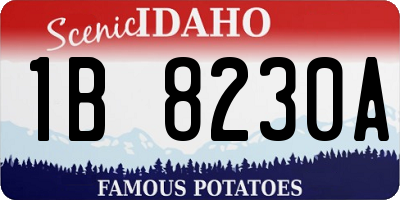 ID license plate 1B8230A